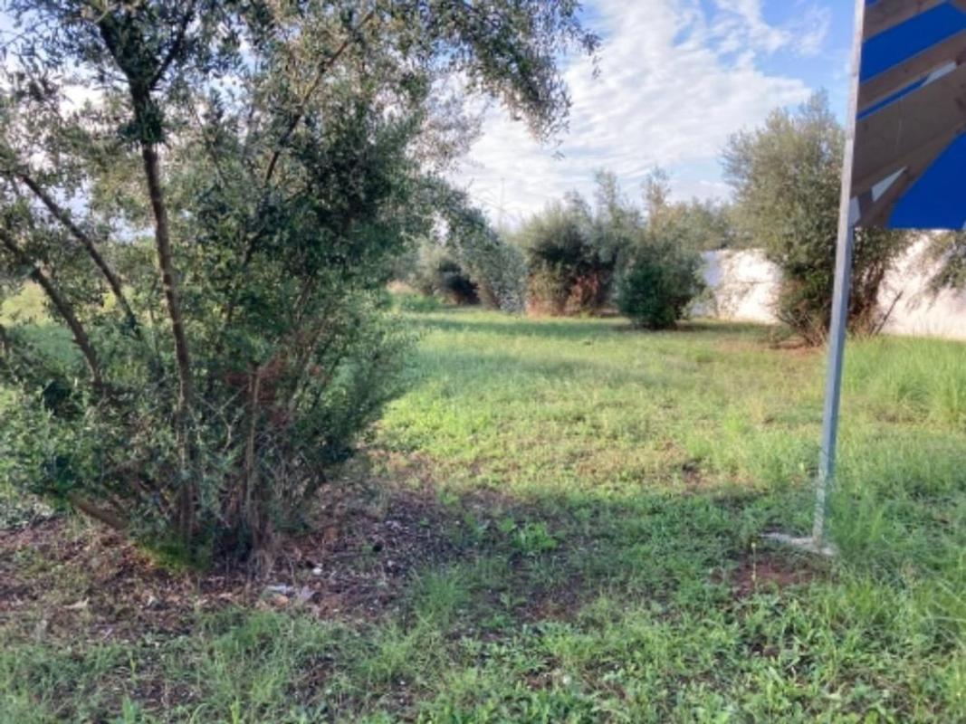 Terreno en venta en Alcàsser, Valencia photo 5