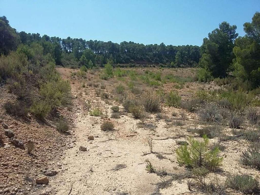 Land for sale in Aras de los Olmos, Valencia photo 1