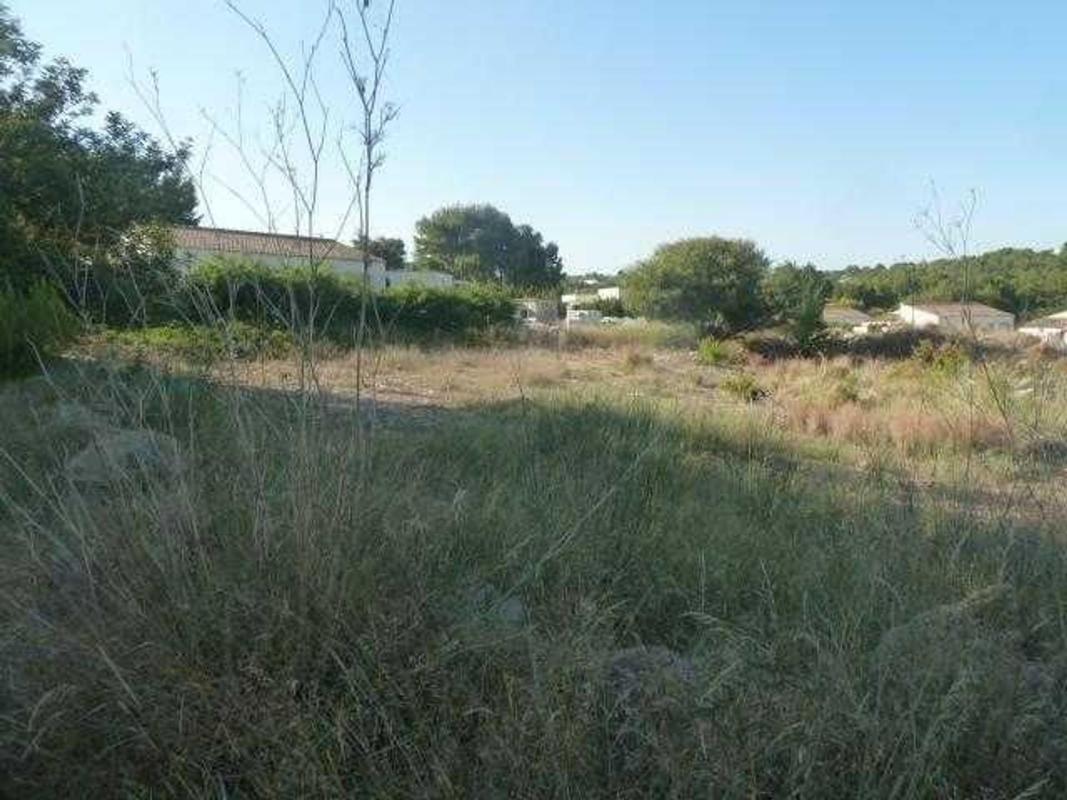 Properties for sale and rent in Spain photo 1