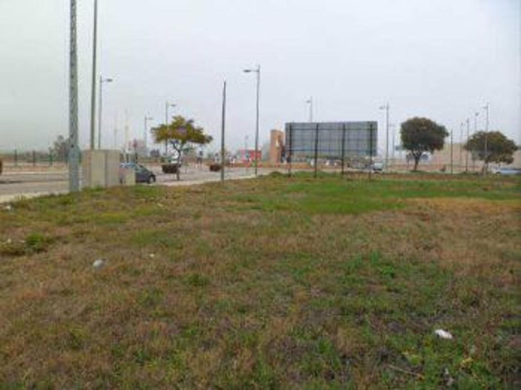 Land for sale in Alzira, Valencia photo 4