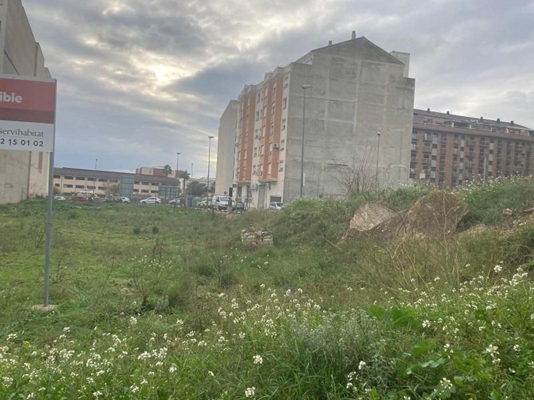 Land for sale in L'Olleria, Valencia photo 3