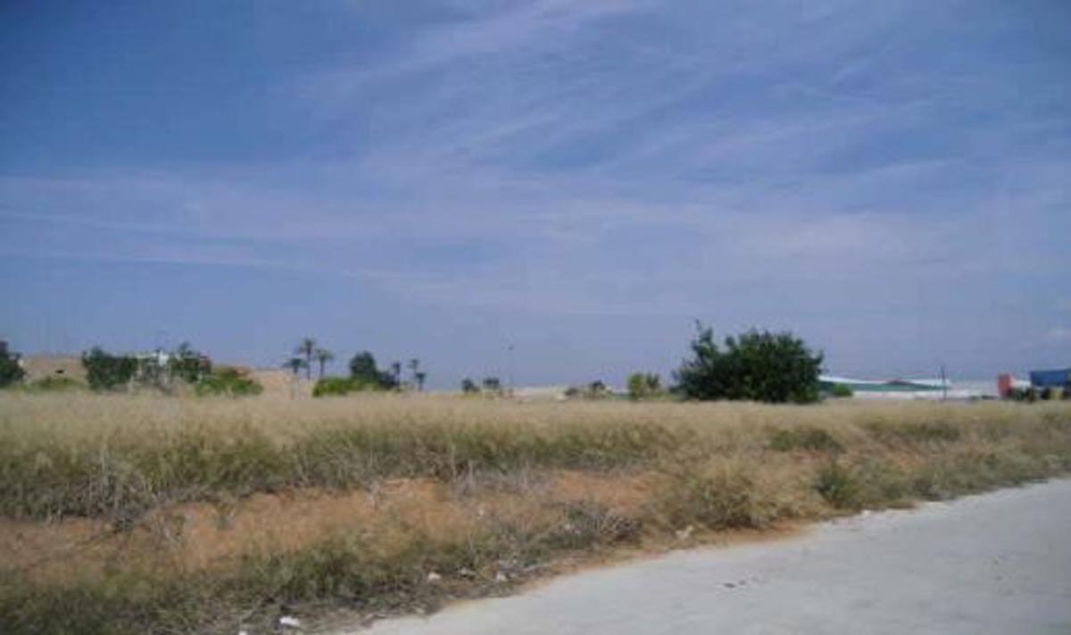 Land for sale in Carcaixent, Valencia photo 2