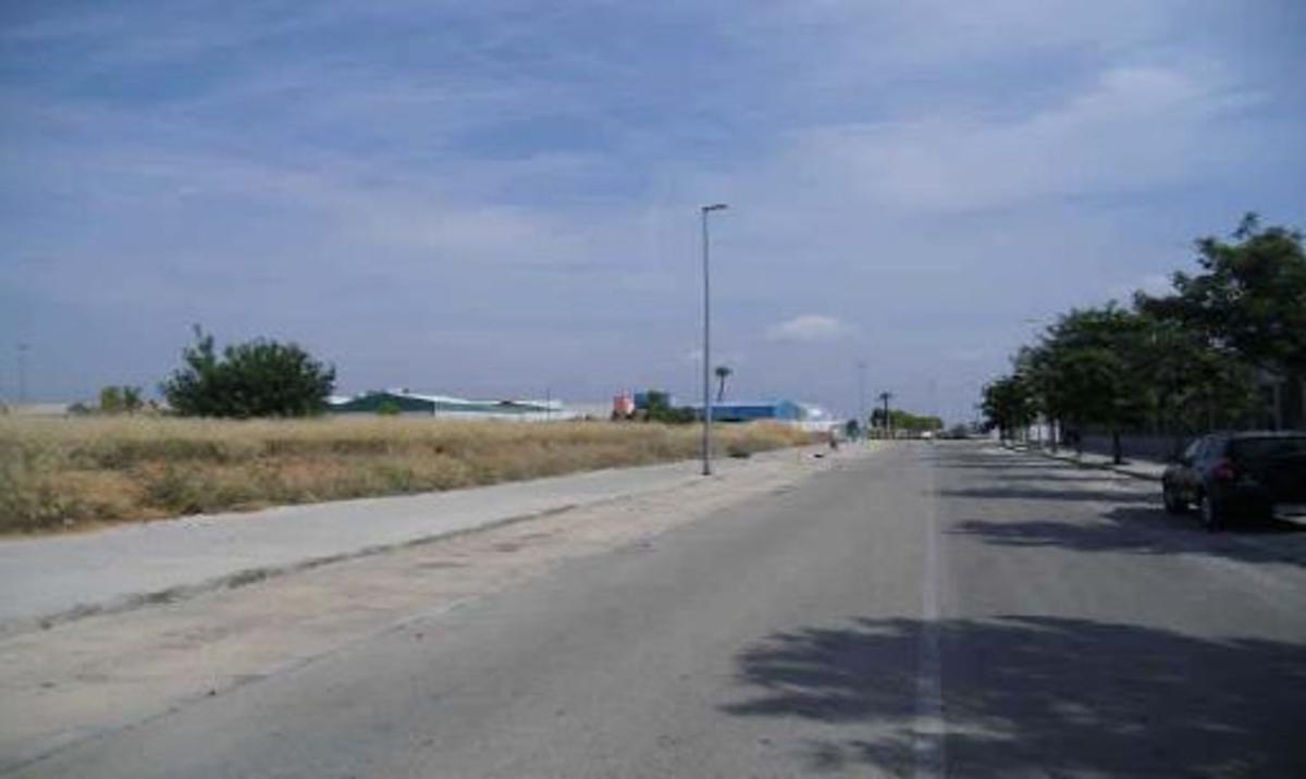 Land for sale in Carcaixent, Valencia photo 4