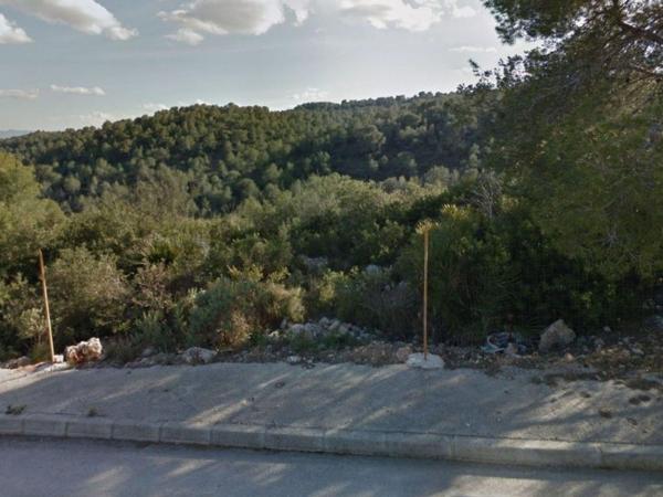 Terreno en Via Camino, 65, Alberic photo 4