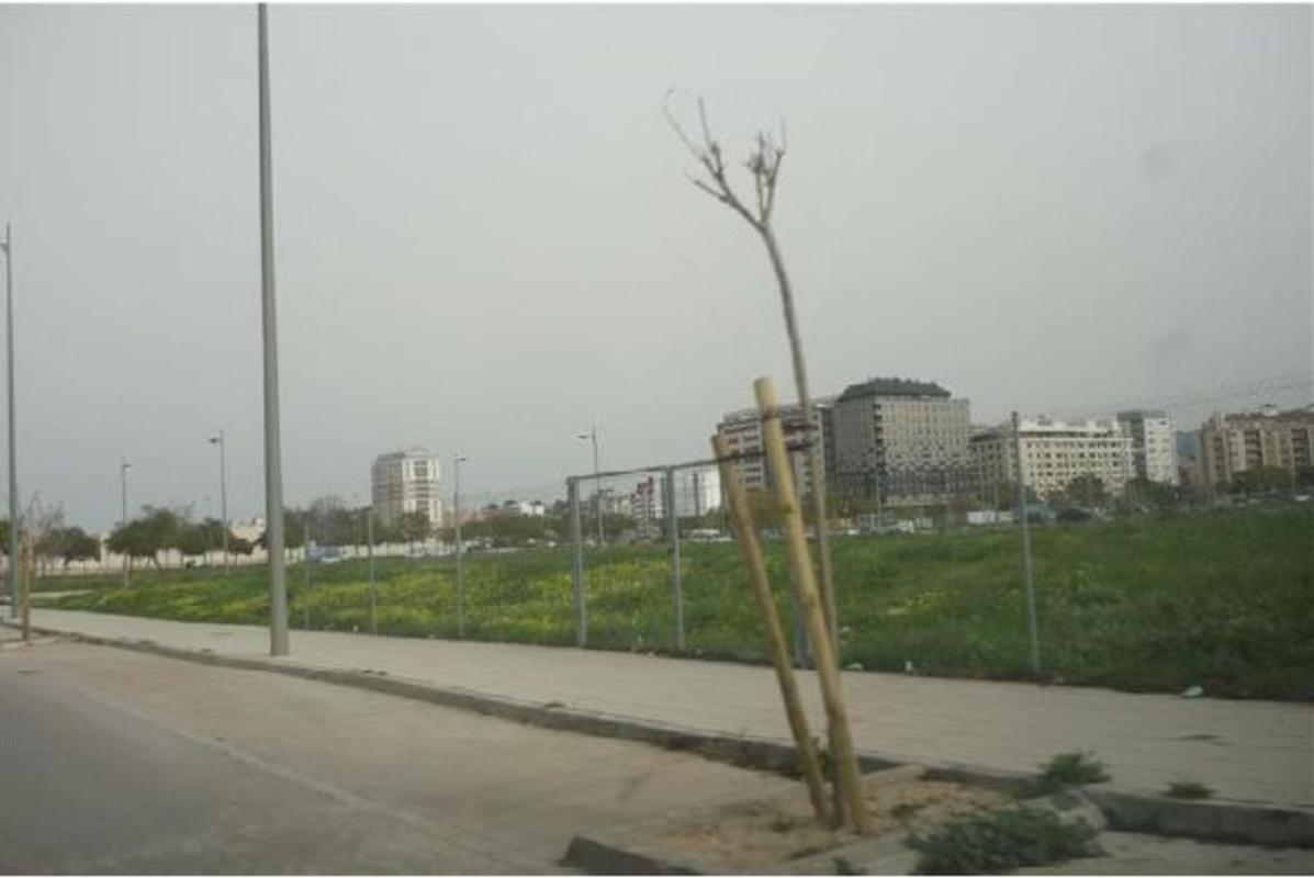 Land for sale in Alzira, Valencia photo 1