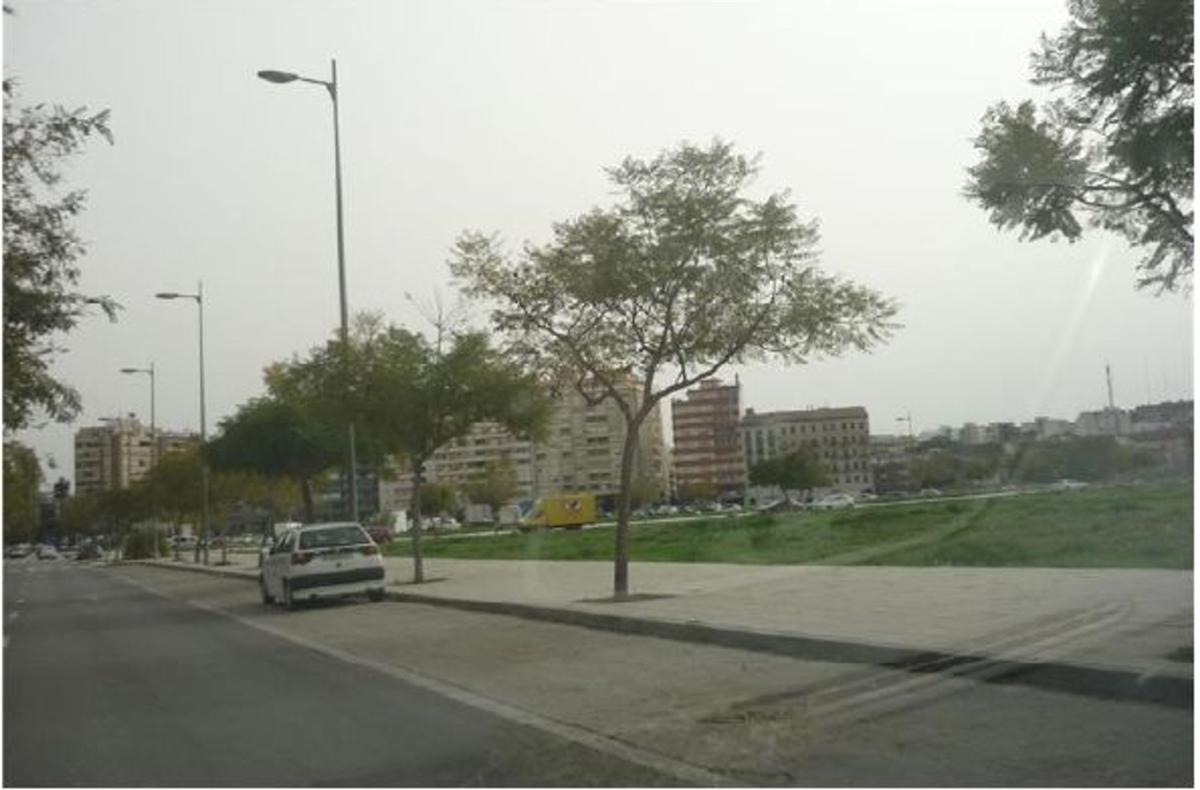 Land for sale in Alzira, Valencia photo 2
