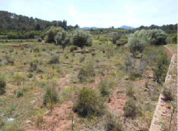 Terreno en Calle del Terrer, 17, Algimia de Alfara photo 1