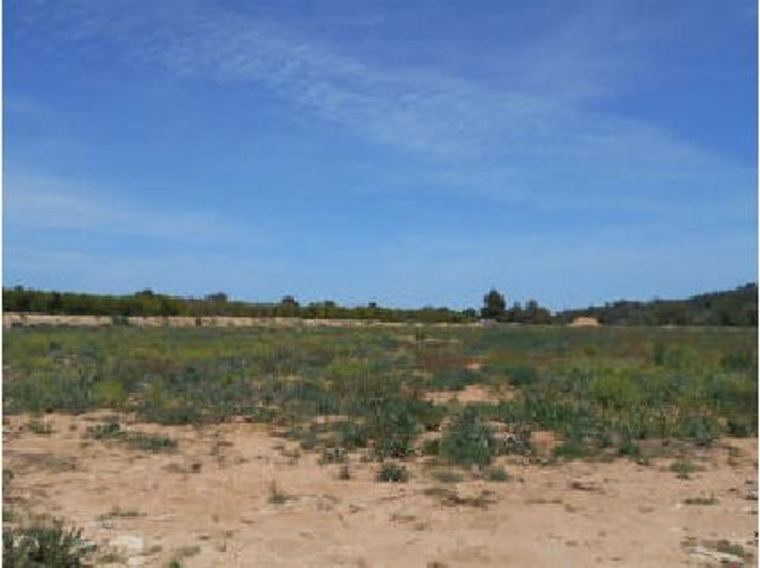 Terreno en venta en Algimia de Alfara, Valencia photo 5