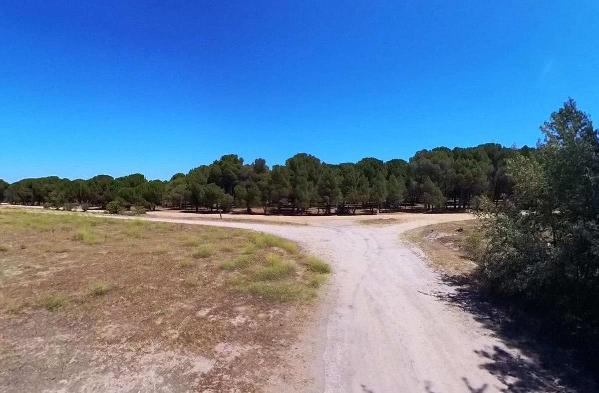 Land for sale in Aldeamayor de San Martín, Valladolid photo 5