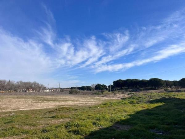 Terreno en Carretera de la Parrilla, 3, Tudela de Duero photo 4