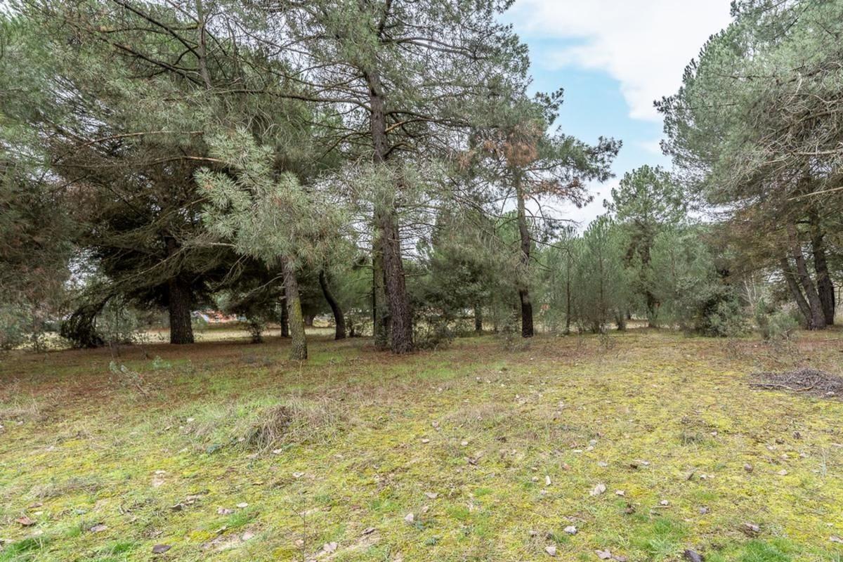 Terreno en venta en Tudela de Duero, Valladolid photo 2