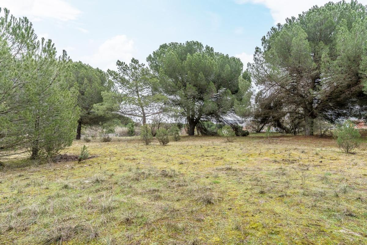 Terreno en venta en Tudela de Duero, Valladolid photo 3