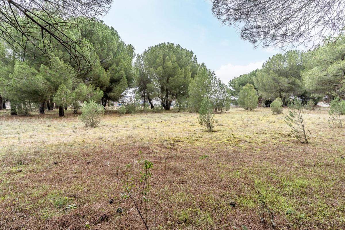 Terreno en venta en Tudela de Duero, Valladolid photo 4