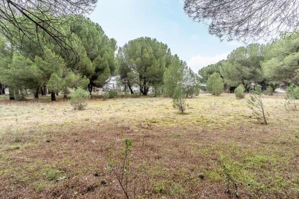 Terreno en Camino Carraportillo, Tudela de Duero photo 4