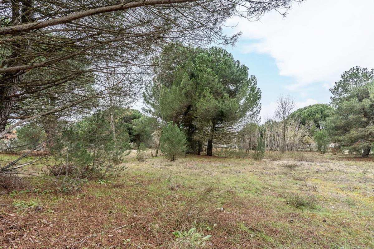 Terreno en venta en Tudela de Duero, Valladolid photo 5