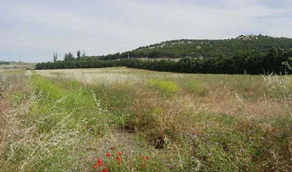 Terreno en venta en Iscar, Valladolid photo 3