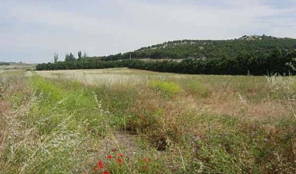 Terreno en Avenida San Miguel, 50, Iscar thumbnail 3