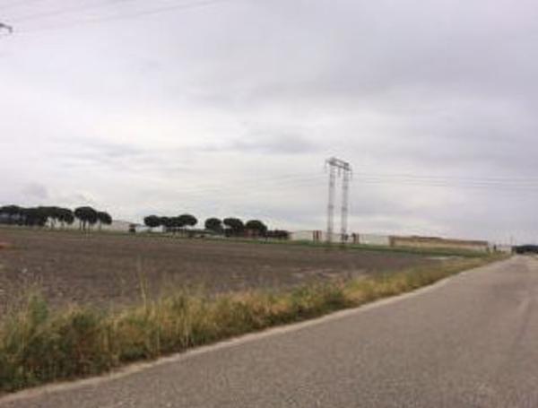 Terreno en Cañada Llosa, 1, Iscar photo 4