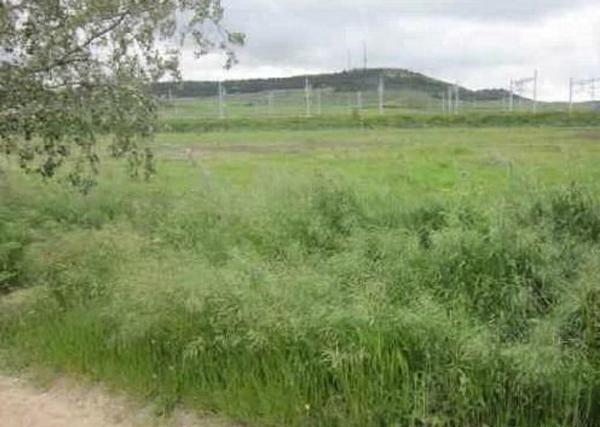 Terreno en Arcas Reales - Pinar del Jalón, Valladolid photo 4