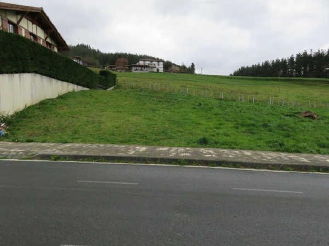 Terreno en venta en Zeanuri, Vizcaya photo 4