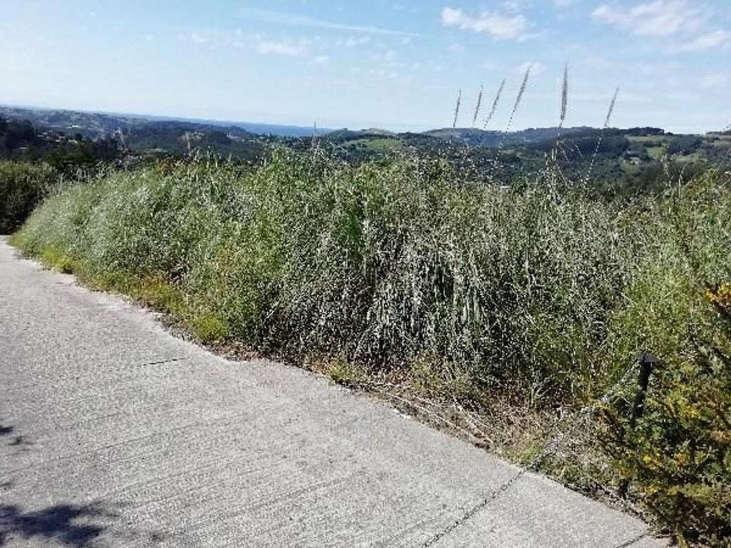 Terreno en venta en Gatica, Vizcaya photo 2