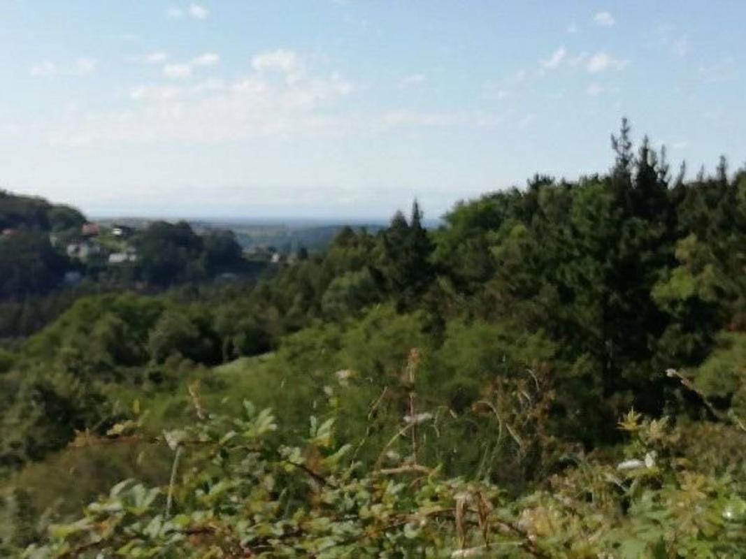 Terreno en venta en Gatica, Vizcaya photo 4