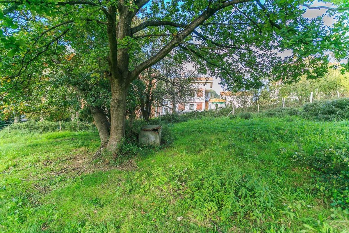 Terreno en venta en Alonsotegui, Vizcaya photo 4
