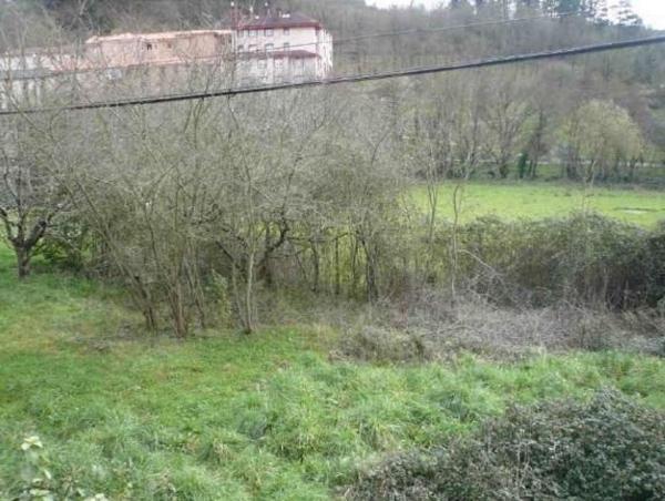 Terreno en Travesía Padure, 1 Tri, Berriz photo 4