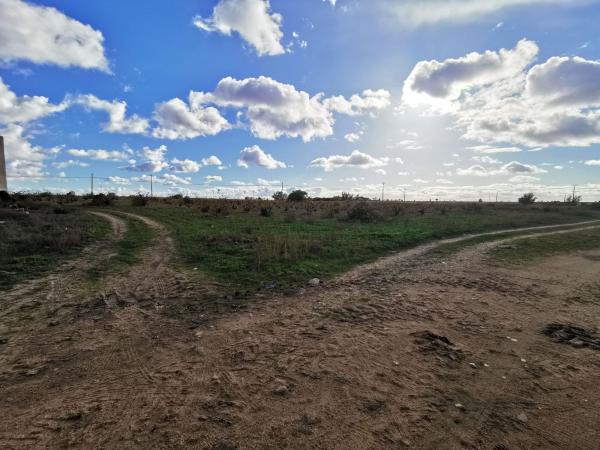Terreno en Calle Moralinos, 40, Morales de Toro photo 1