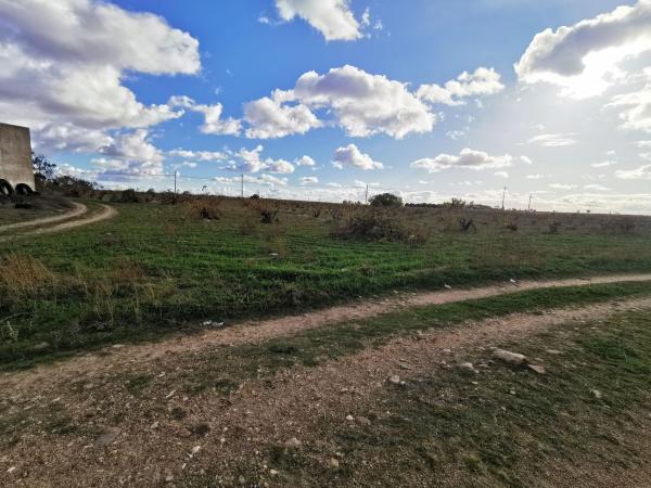 Terreno en Calle Moralinos, 40, Morales de Toro thumbnail 1