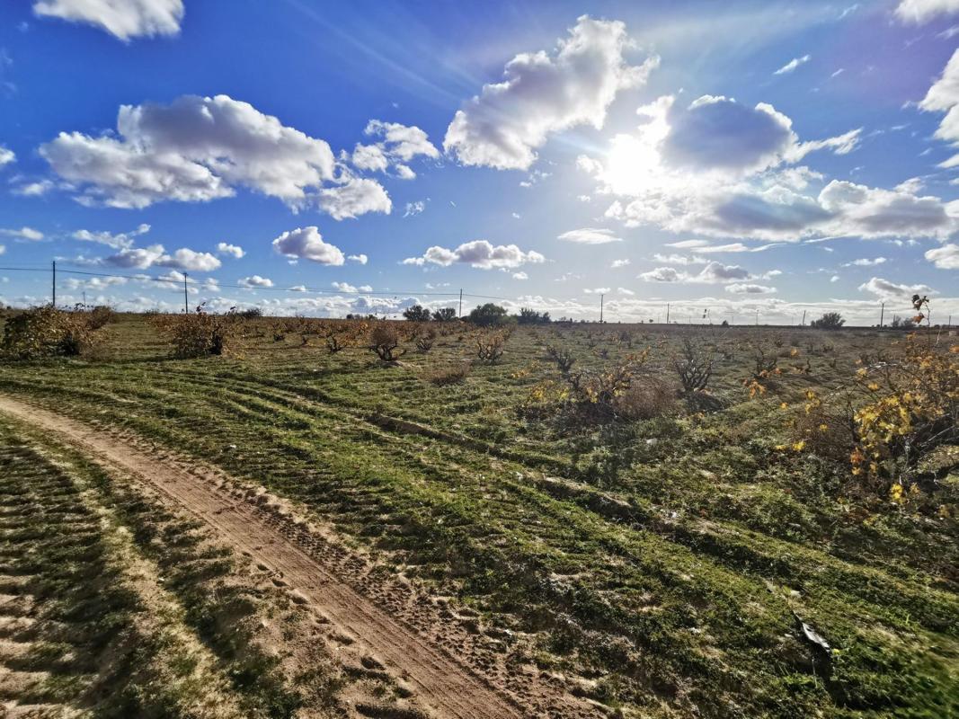 Участок земли на продажу в Моралес-де-Торо, Замора photo 3