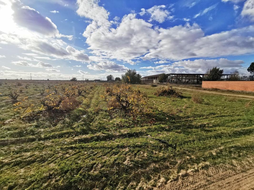 Участок земли на продажу в Моралес-де-Торо, Замора photo 4
