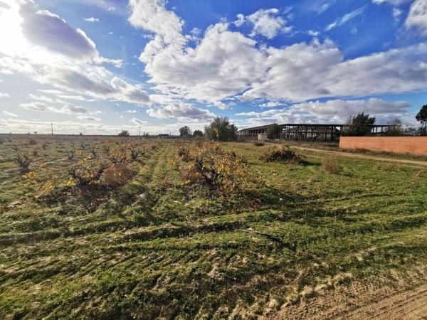 Terreno en Calle Moralinos, 40, Morales de Toro photo 4