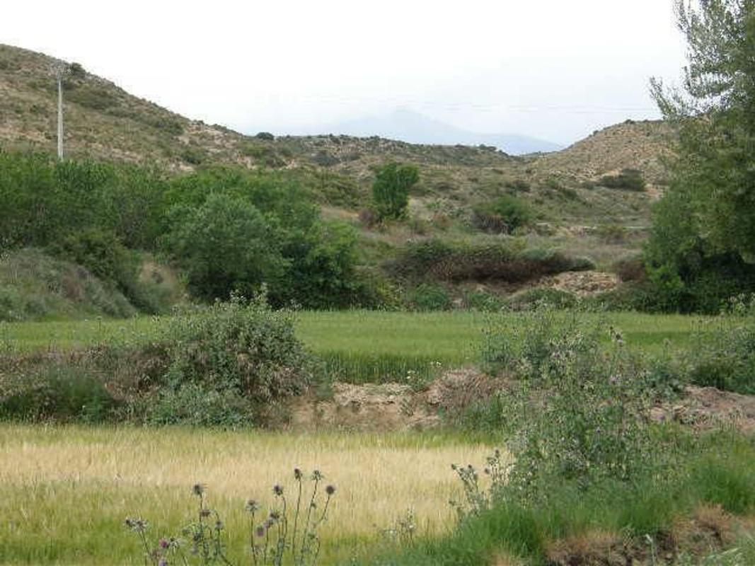 Terreno en venta en Tarazona, Zaragoza photo 2