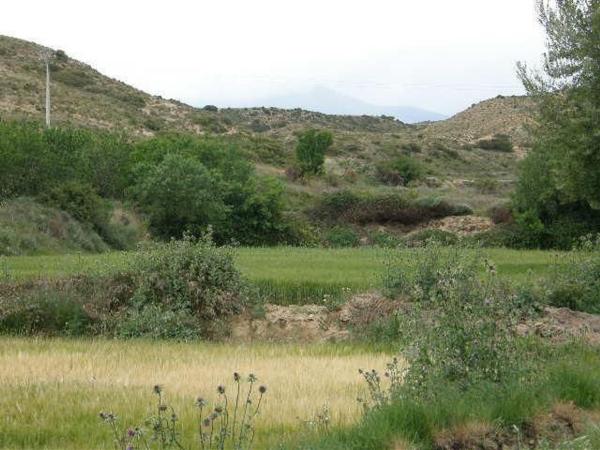 Terreno en Camino del Corral del Contador, 501, Tarazona thumbnail 1