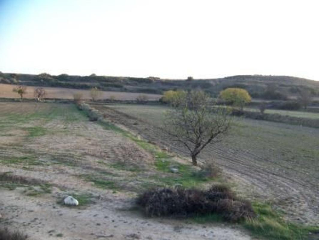 Terreno en venta en Tarazona, Zaragoza photo 3