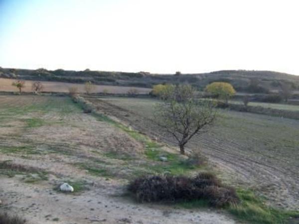 Terreno en Camino del Corral del Contador, 501, Tarazona thumbnail 2