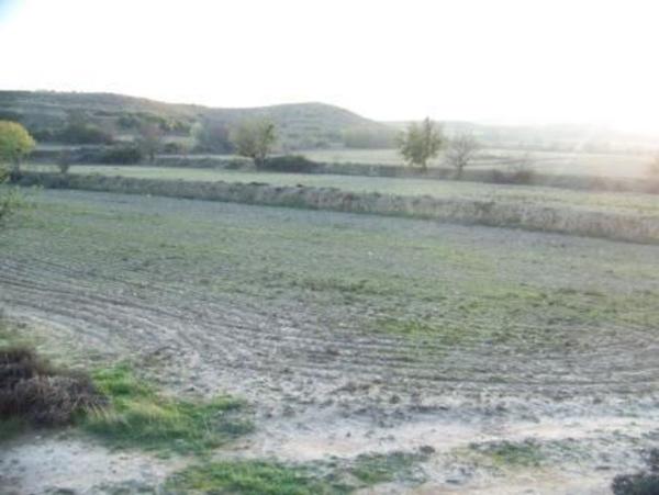 Terreno en Camino del Corral del Contador, 501, Tarazona photo 4
