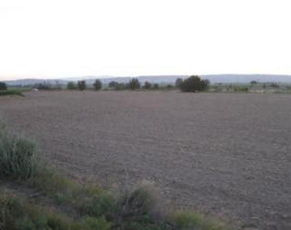 Terreno en Fuentes de Ebro photo 1