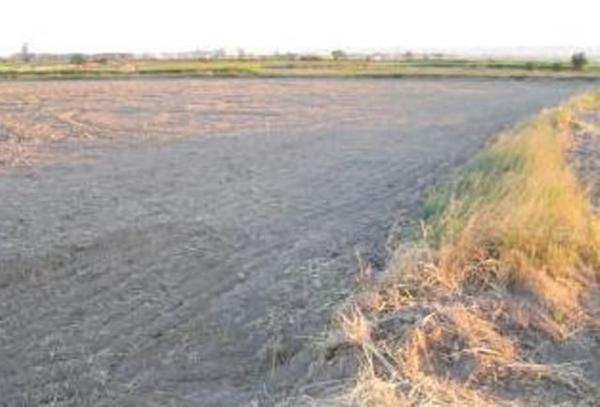 Terreno en Fuentes de Ebro thumbnail 1
