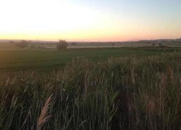 Terreno en Fuentes de Ebro photo 3