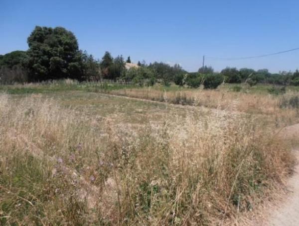 Terreno en Calle la Tajada, 27, Peñaflor, Zaragoza thumbnail 1