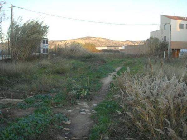 Terreno en Calle Santa María Magdalena, 13, Torres de Berrellén thumbnail 1