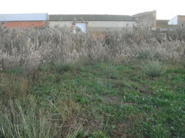 Terreno en Calle Santa María Magdalena, 13, Torres de Berrellén thumbnail 2
