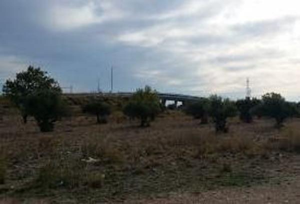 Terreno en Camino de Benedé, La Muela photo 2