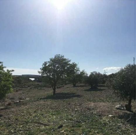 Terreno en Camino de Benedé, La Muela photo 3