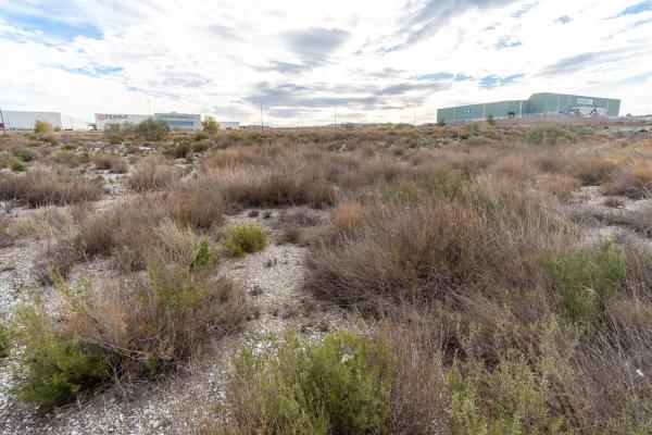 Terreno en Urbanización Parque Tecnologico Lopez Soriano s/n, Parque Venecia, Zaragoza photo 3