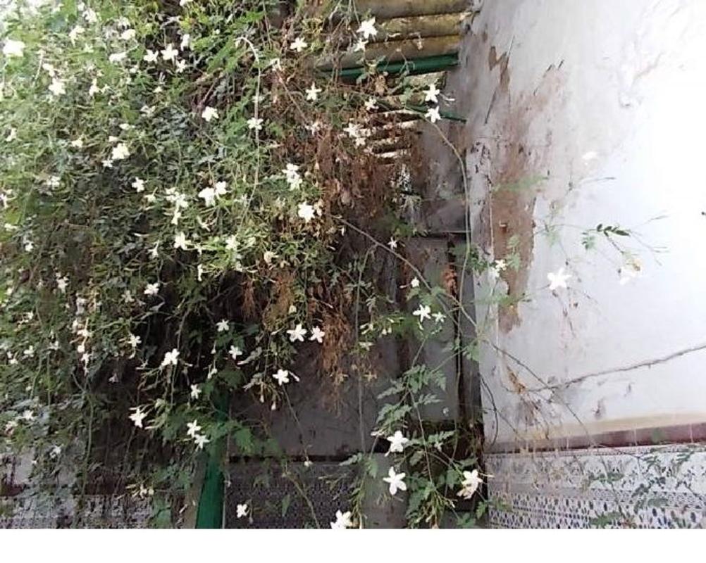 Недвижимость на продажу и в аренду в Испании photo 5