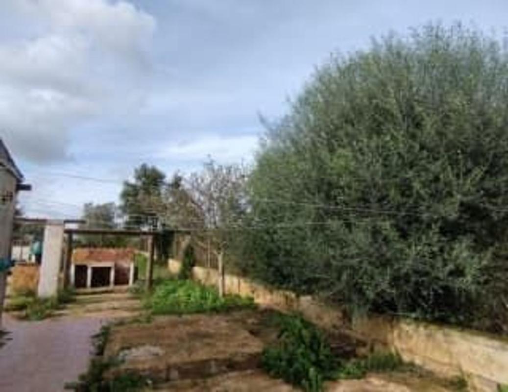 Properties for sale and rent in Spain photo 2