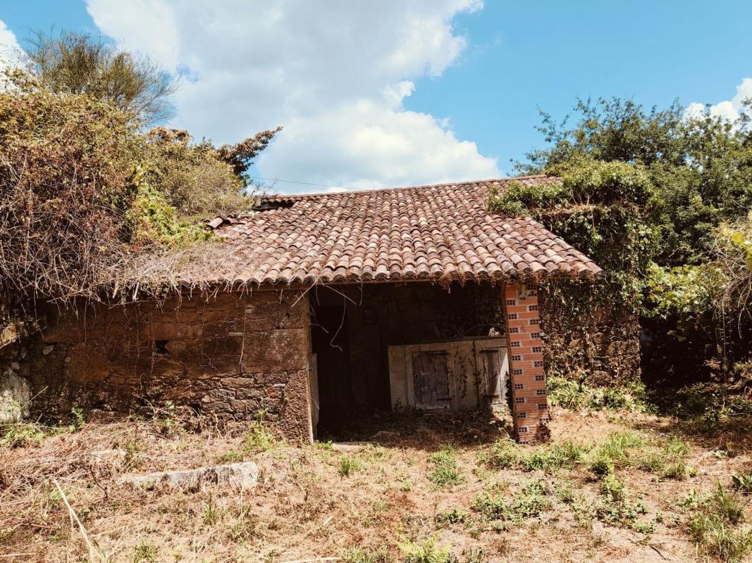 Propiedades en venta y alquiler en España photo 1